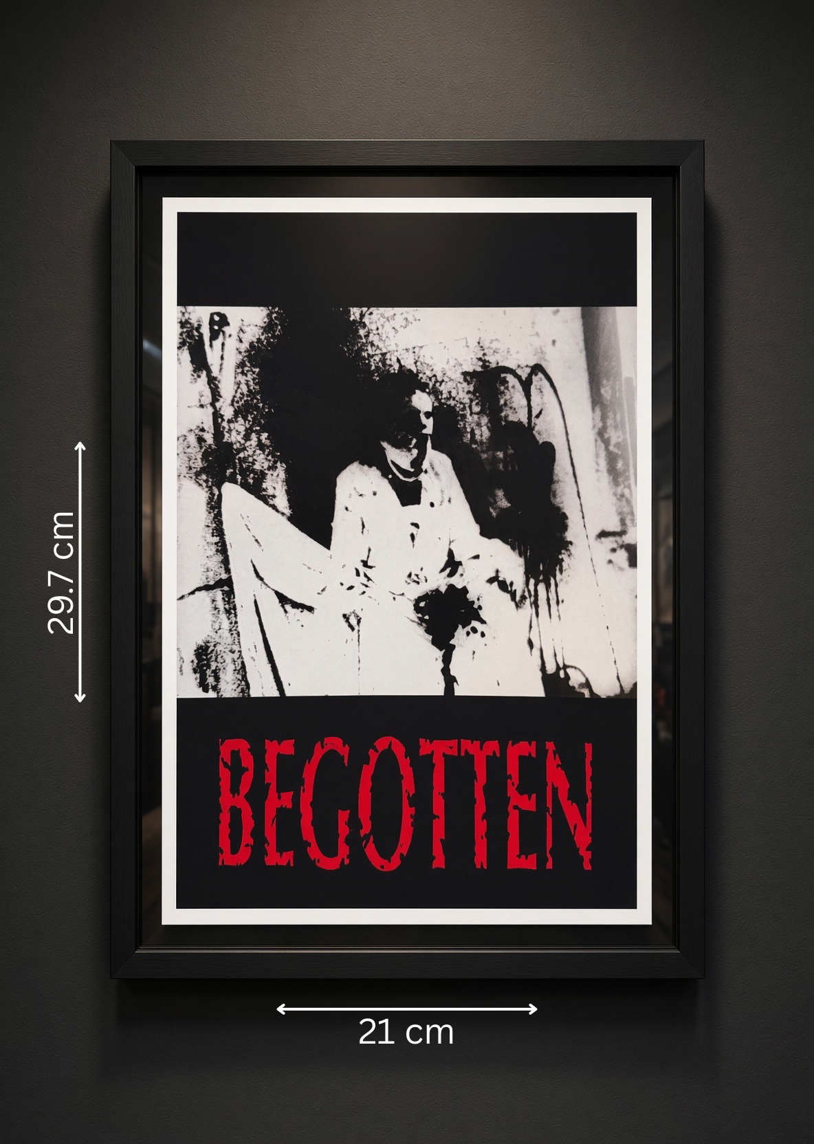 Art print “Begotten” – Cult Horror Movie Poster A4